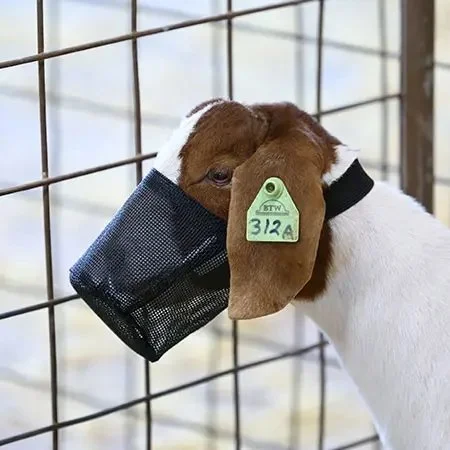 Mesh Lamb & Goat Muzzle