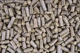 Beet Pulp (Pellets)