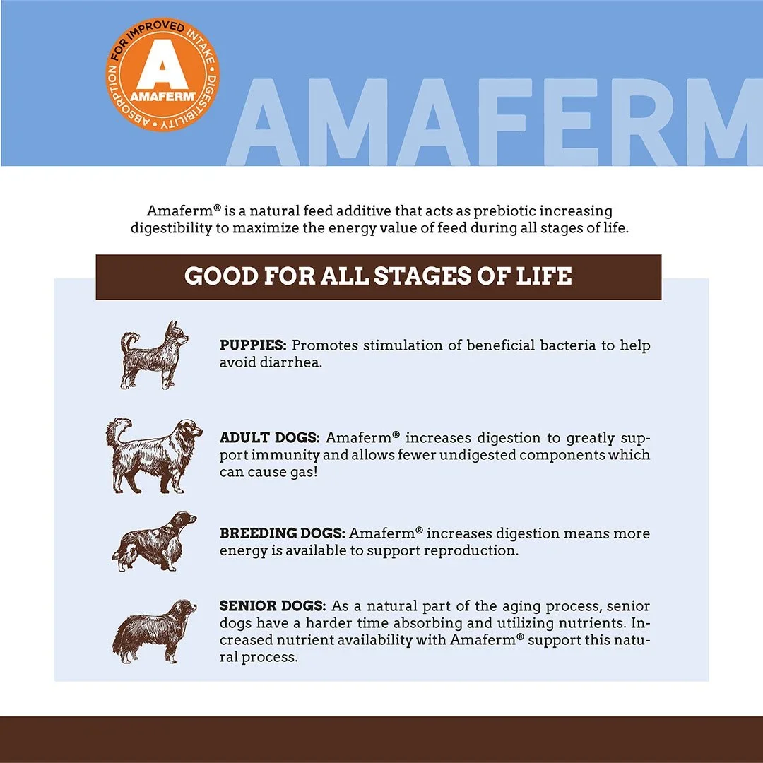 naturals-healthy-dog-amaferm.webp