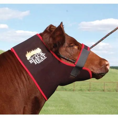 Black Heat Neck Sweat