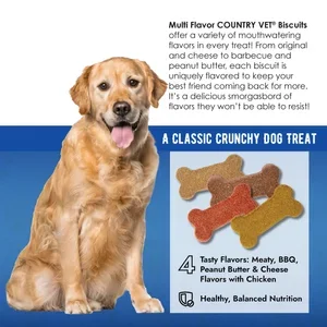 multi-flavor-dog-biscuits-info.webp