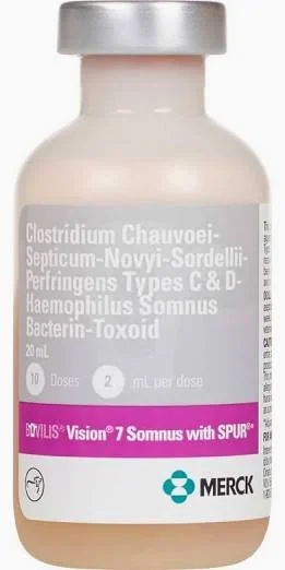 Vision 7 Somnus with Spur