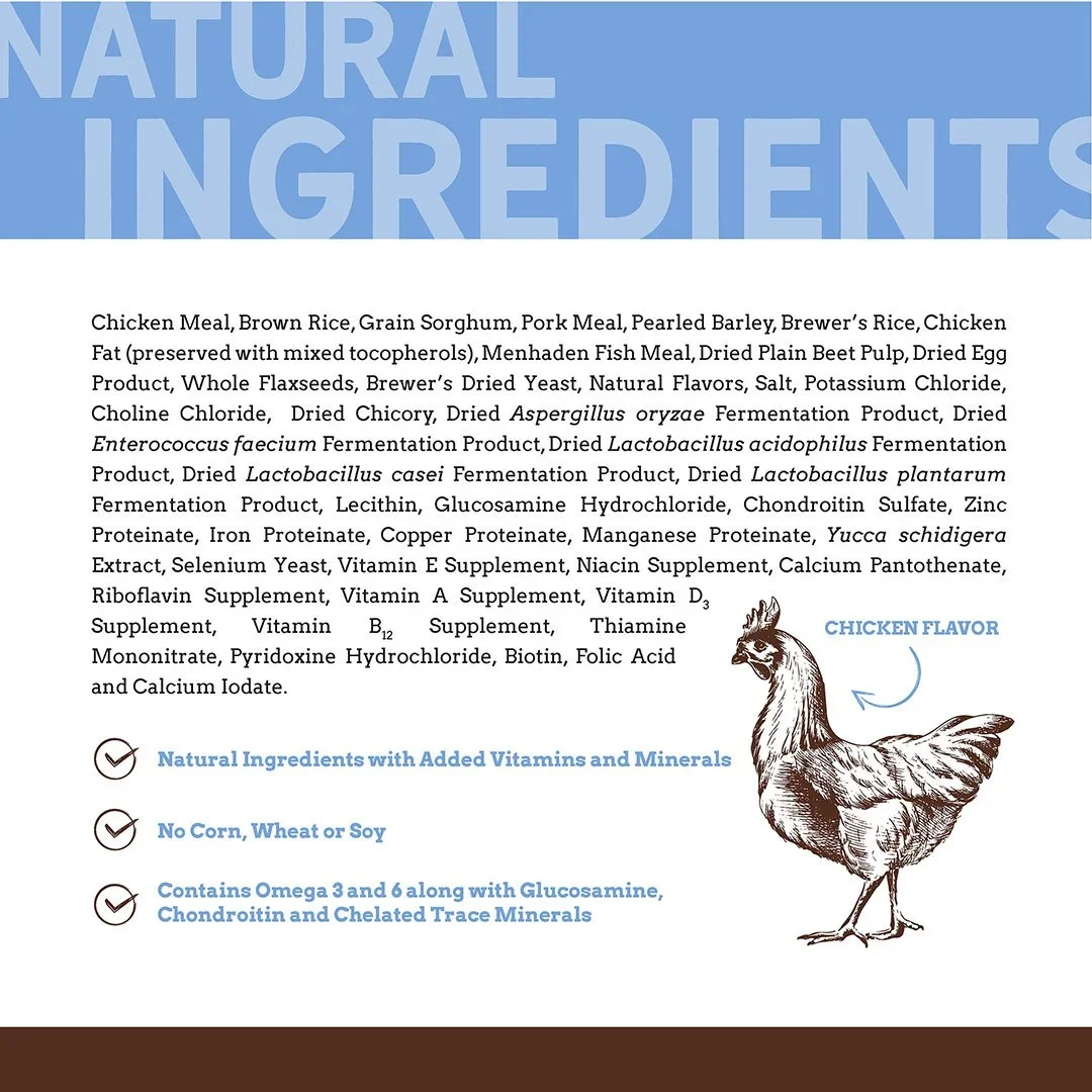 naturals-healthy-dog-ingredients.webp