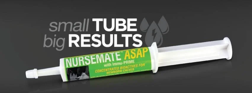 Nursemate ASAP with Immu-PRIME