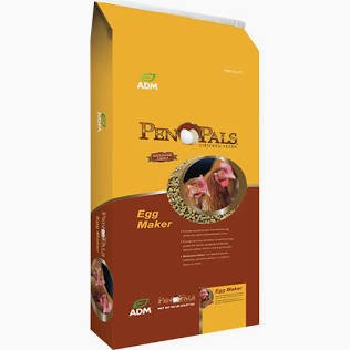 Pen Pals Egg Maker Concentrate