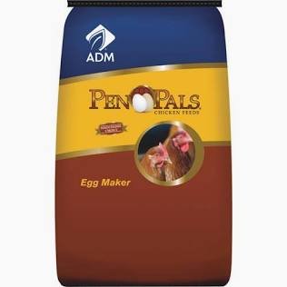 Pen Pals Egg Maker Complete