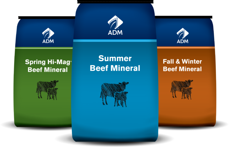 MoorMan's ADM Beef Mineral