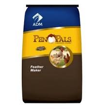 Pen Pals Feather Maker