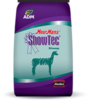 MoorMan’s ShowTec 15.5 Lamb DC