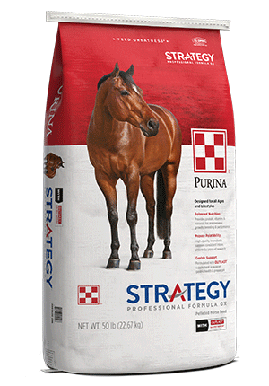 Strategy Professional Formula GX