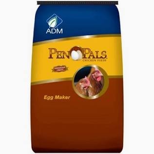 Pen Pals Egg Maker Balancer