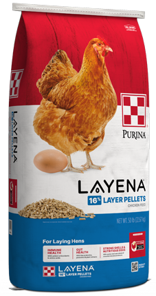 Layena Pellets 16% Layer Hen Feed