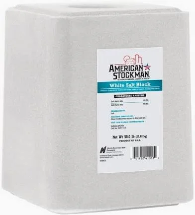 White Salt Block