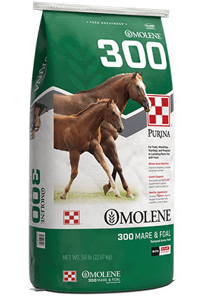 Omolene® #300 Mare & Foal