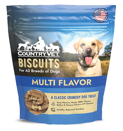 Multi Flavor Dog Biscuits