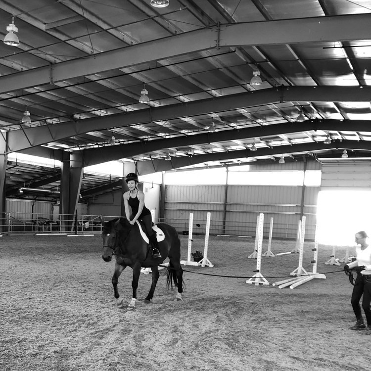 Getting back on the Horse