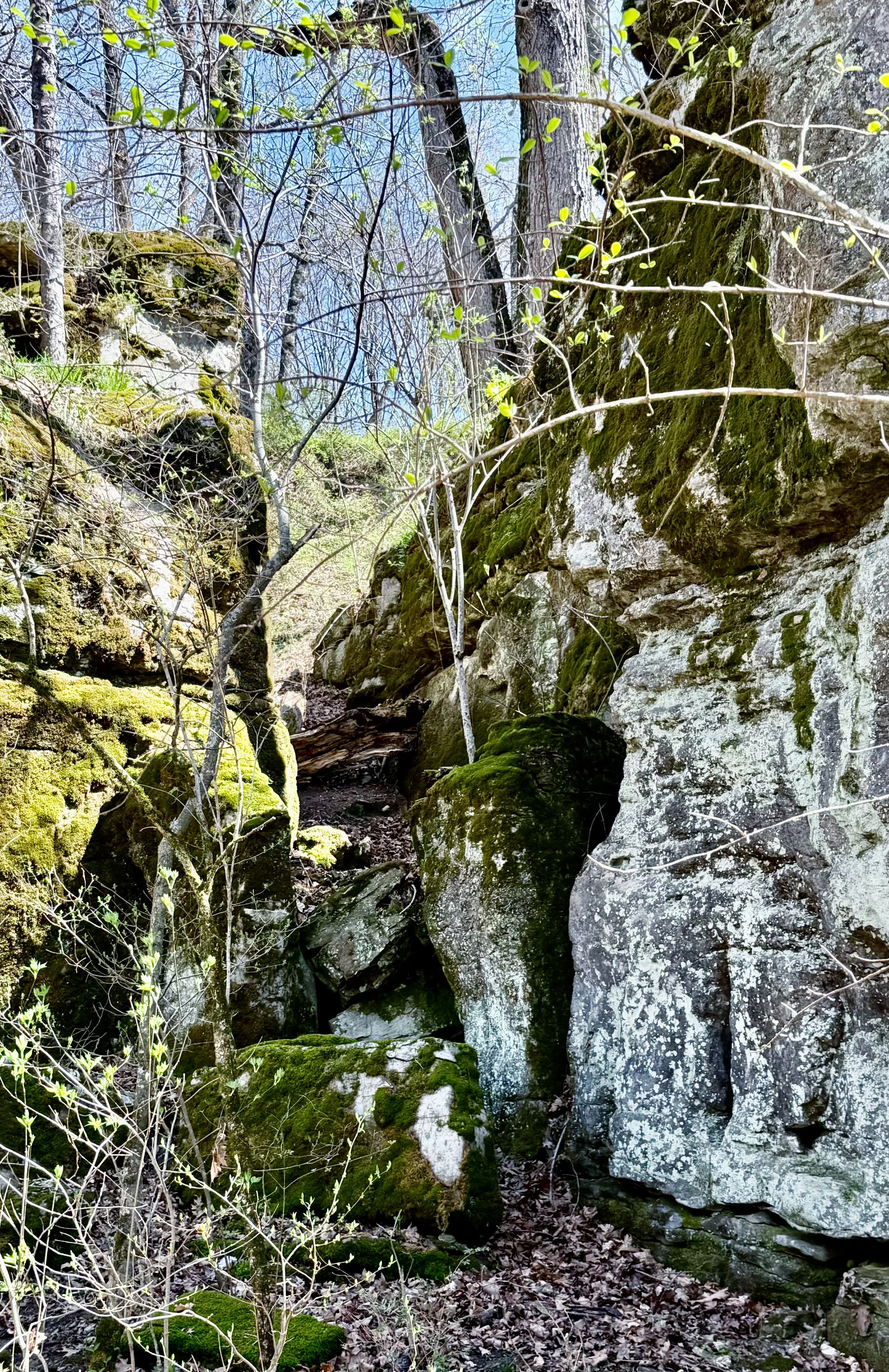 The Hidden Passageway by Emma Ray