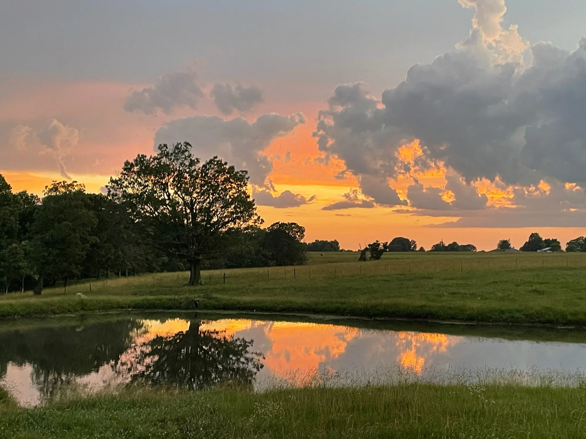Grandmother's Pond by Maddie McKinnis