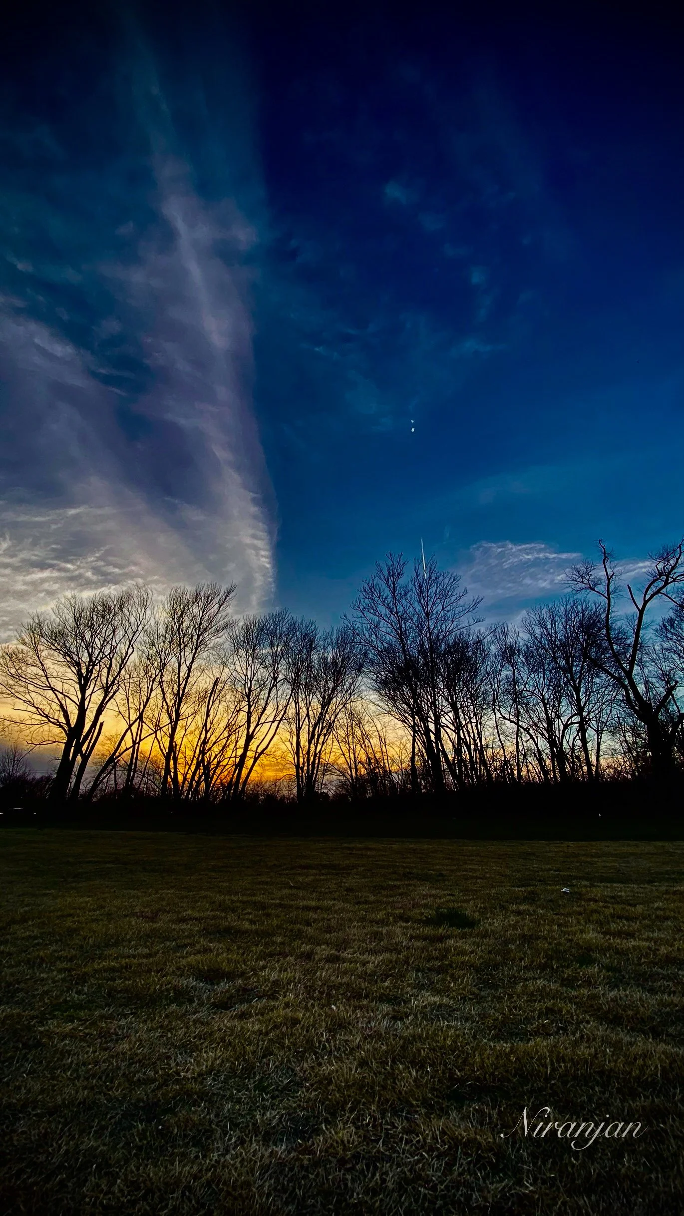A Celestial Canvas Beyond Bare Branches by Niranjan Sabari Nair