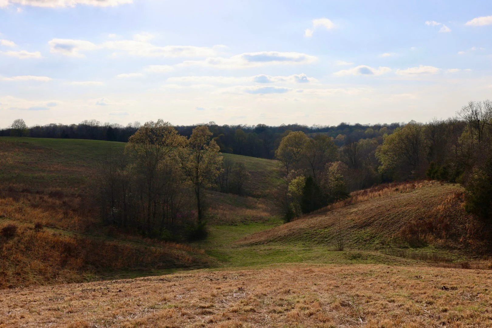 Barren Fork of Water Creek by Emma Morrow