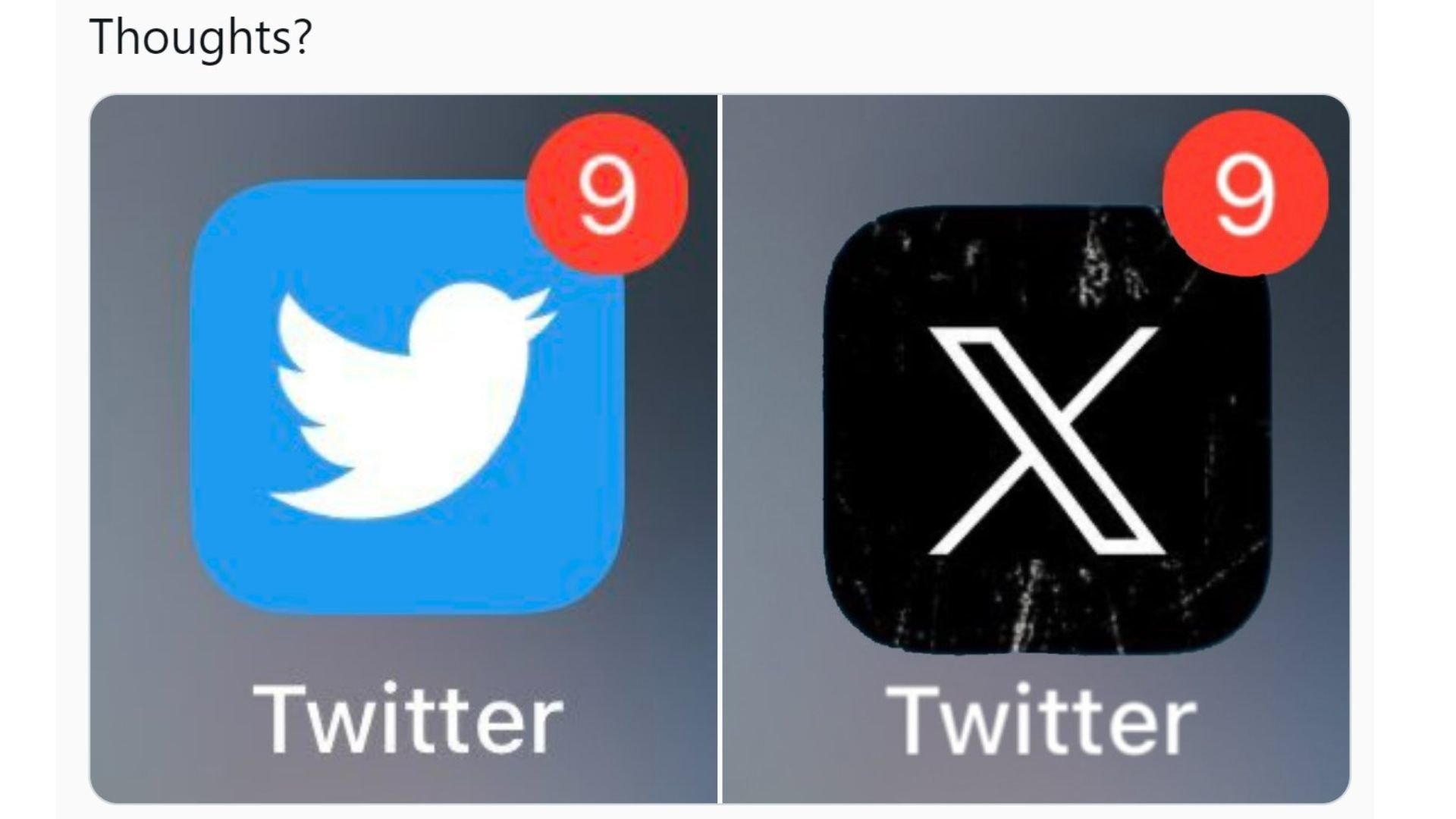 Twitter Rebrands as X - Elon Musk's Bold Move and Its Implications for Marketing