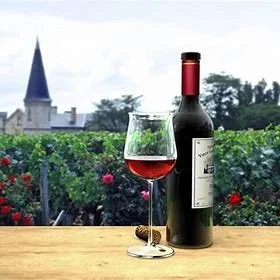 Uncorking Tradition: French Winemakers Embrace US-Style Marketing to Revitalize Sales