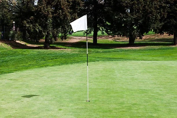 Pin Flag Sponsor