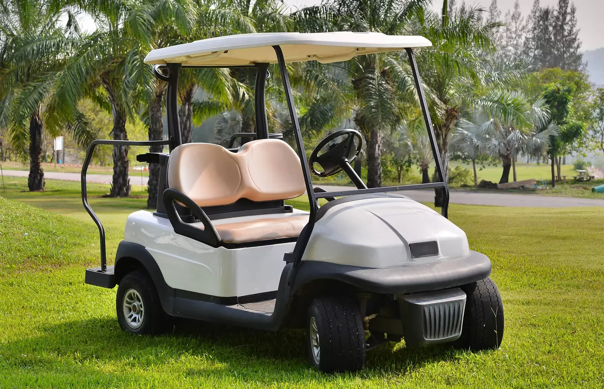 Golf Cart Sponsor