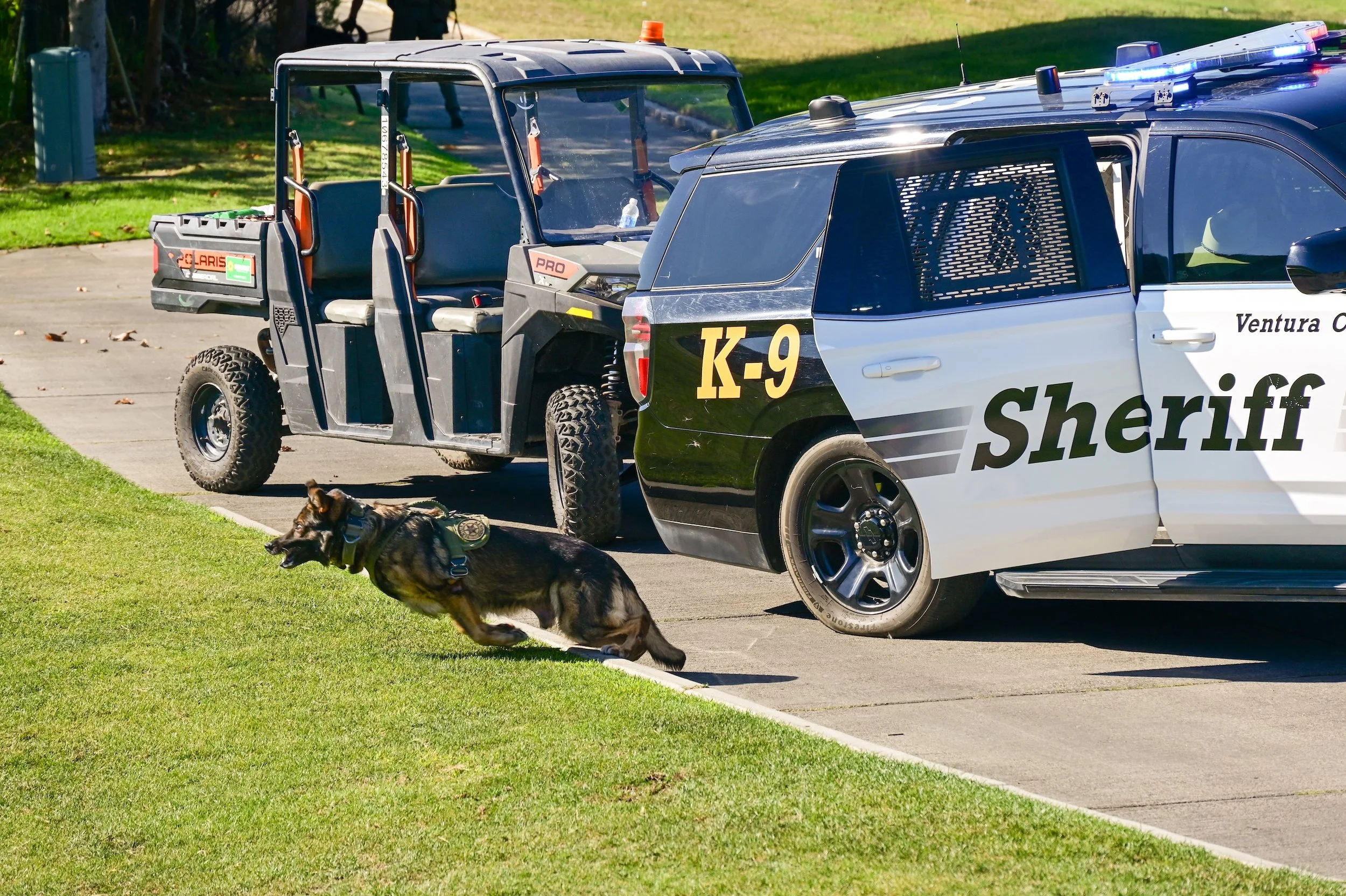 DSC_9535.jpg