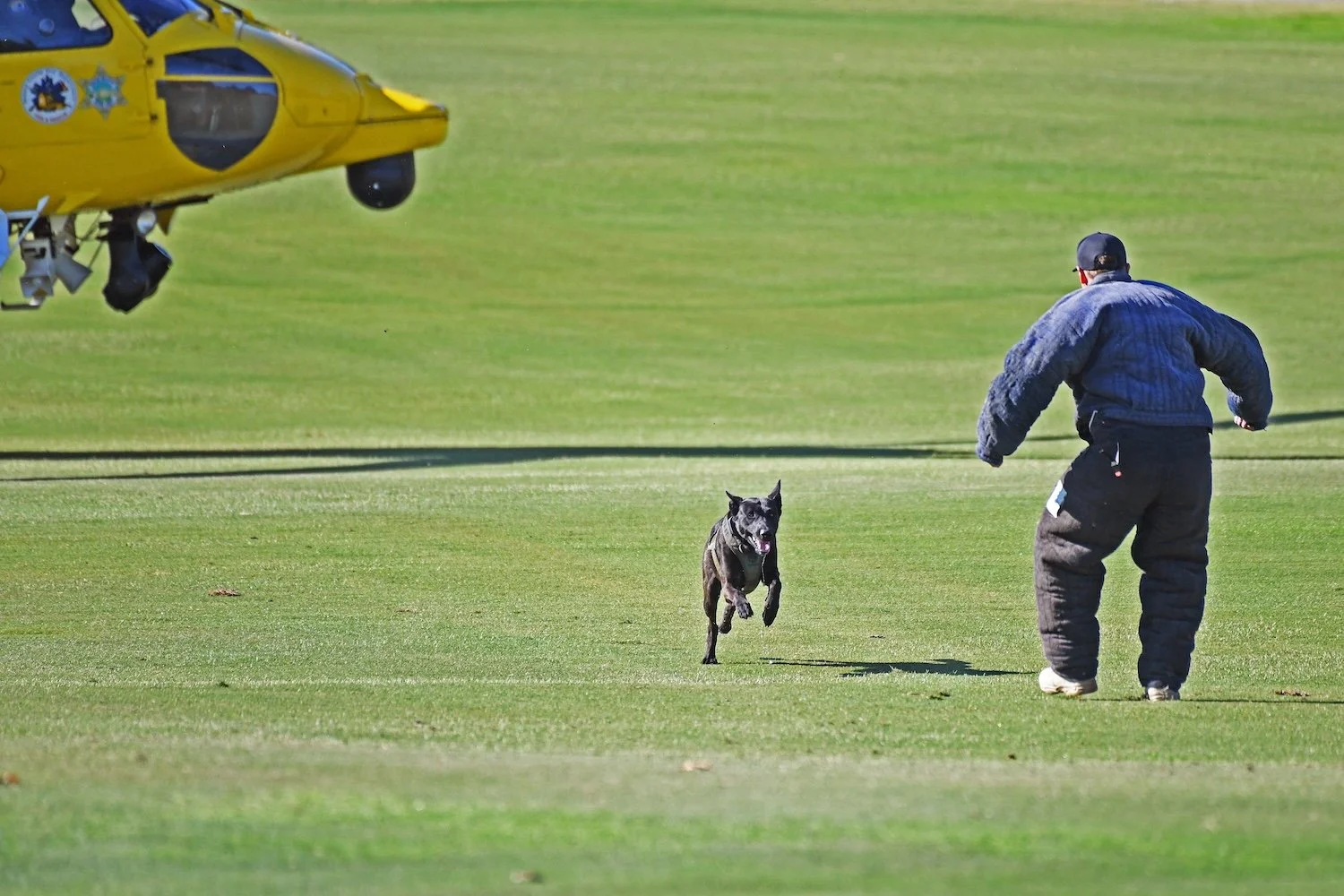 DSC_9517.JPG