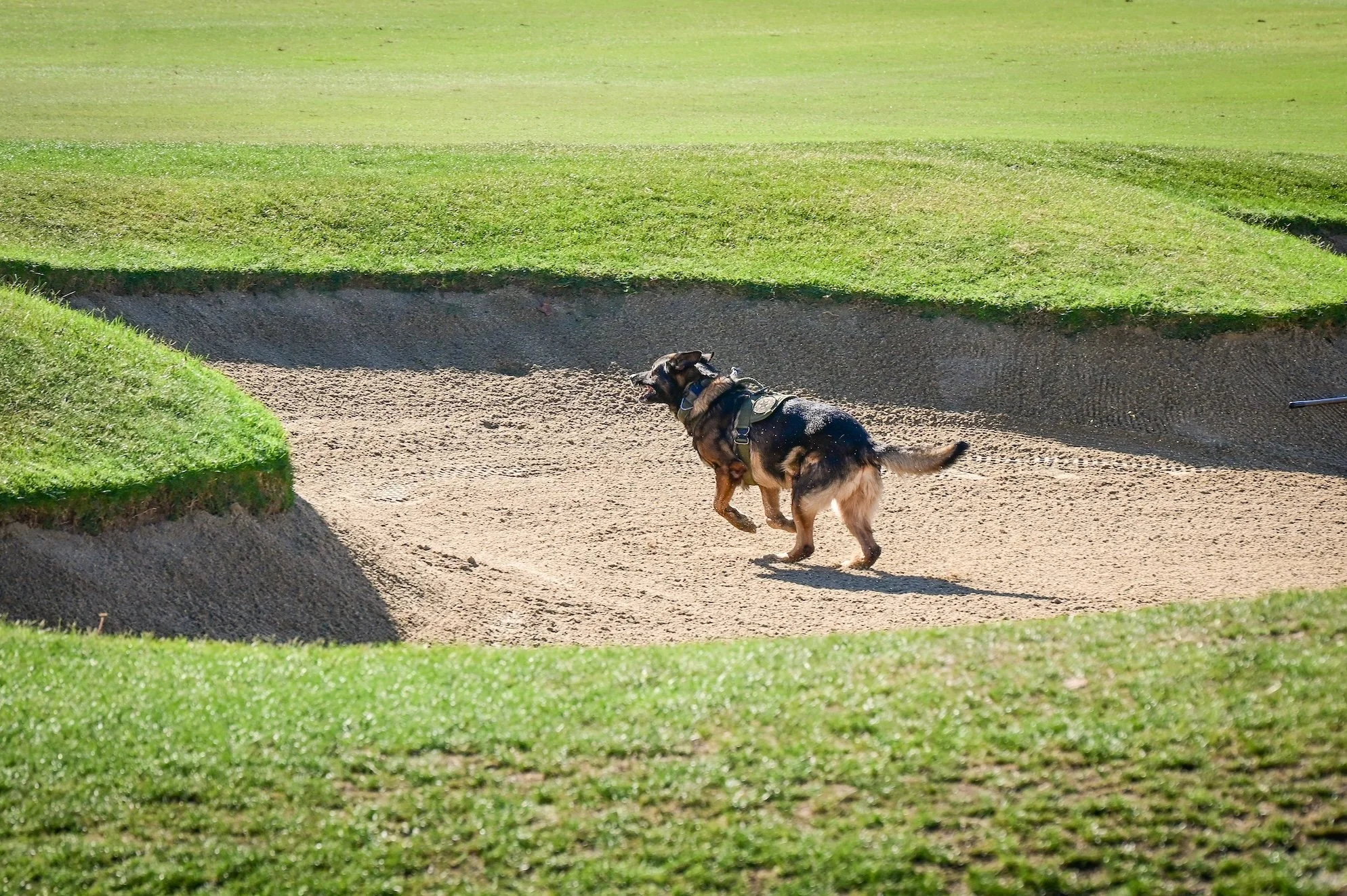 DSC_9543.jpg