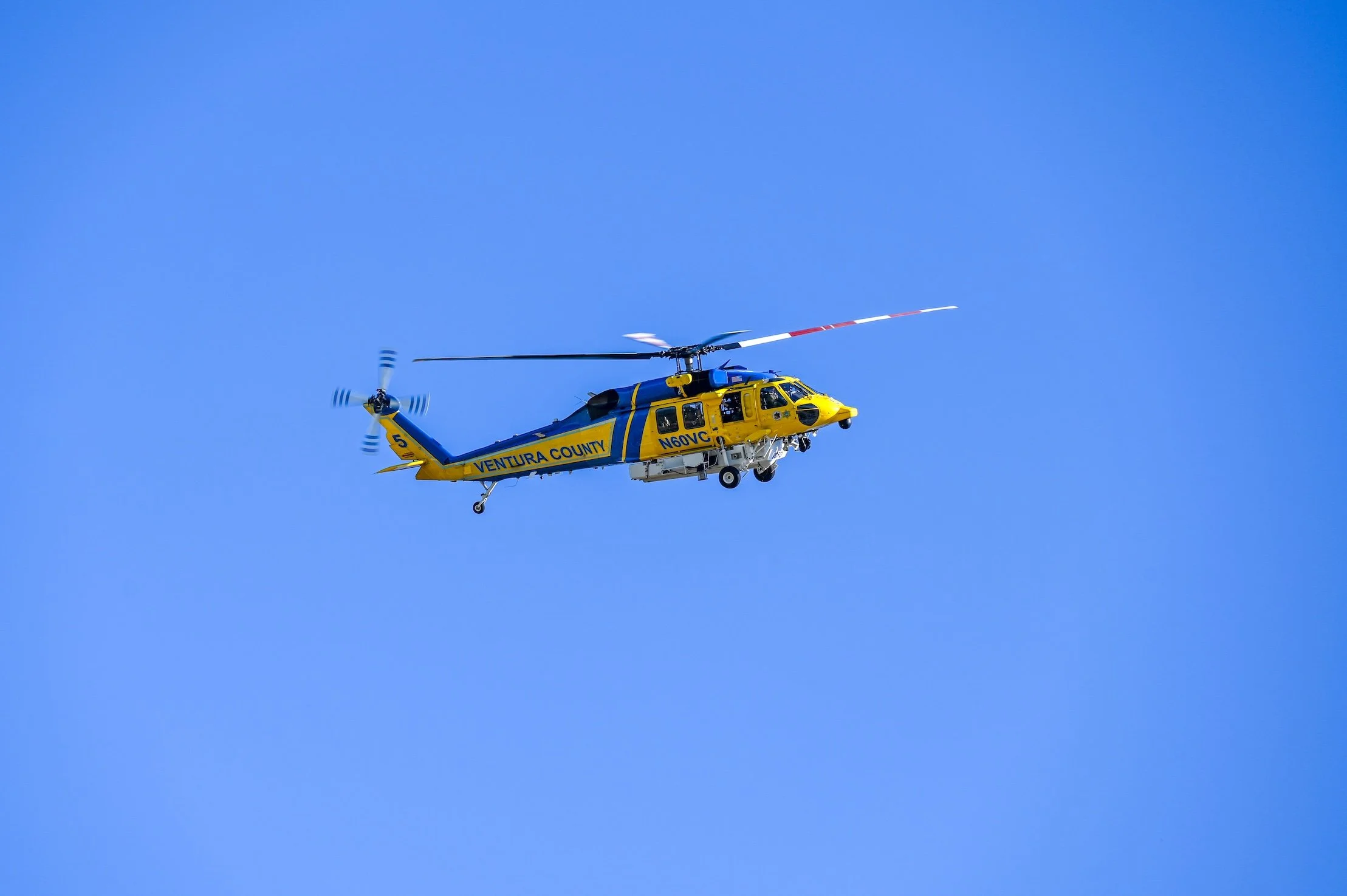 DSC_9506.jpg