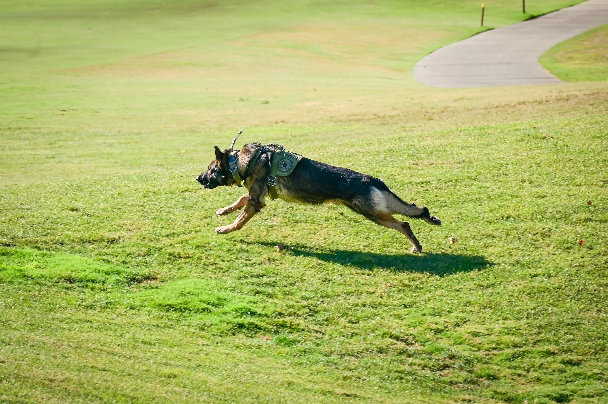 DSC_9539.jpg