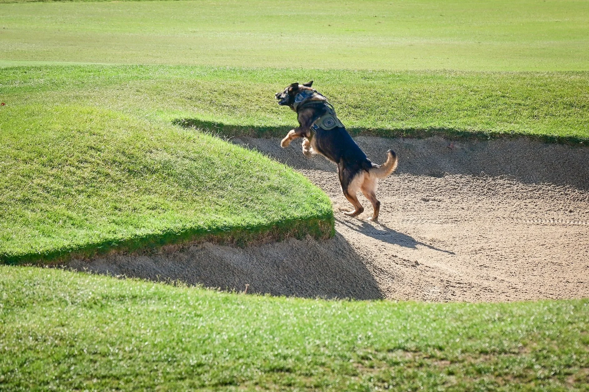 DSC_9544.jpg