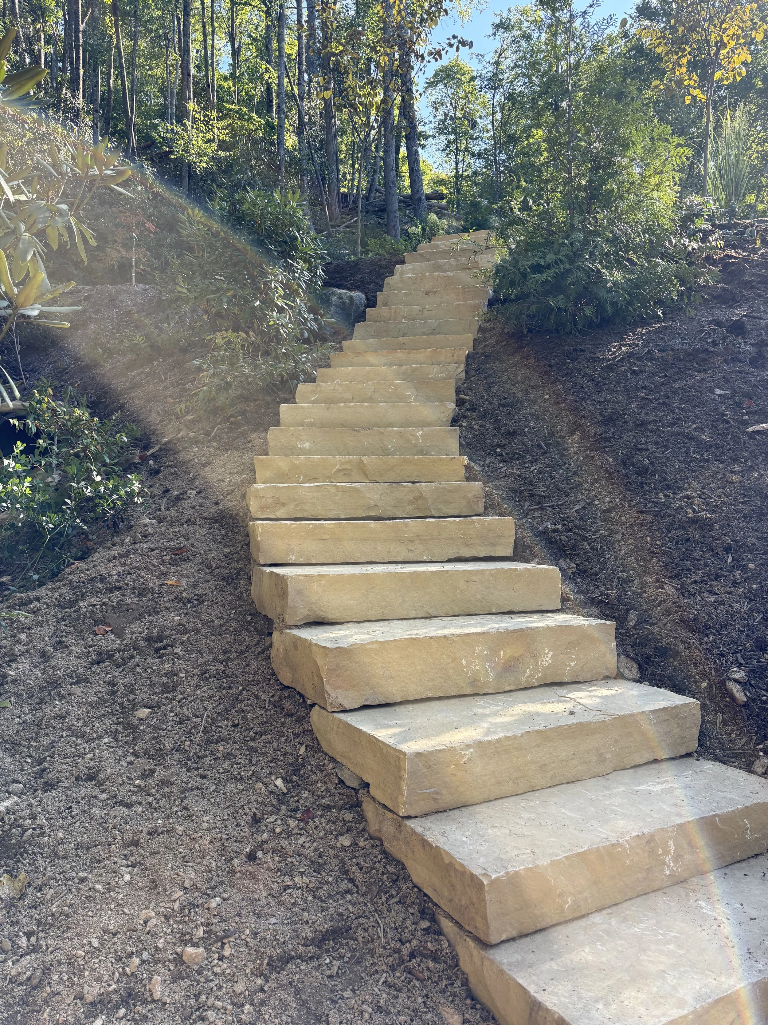 A set of unfinished stone stairs ascending through a wooded area on a hillside, with trees and plants surrounding them.