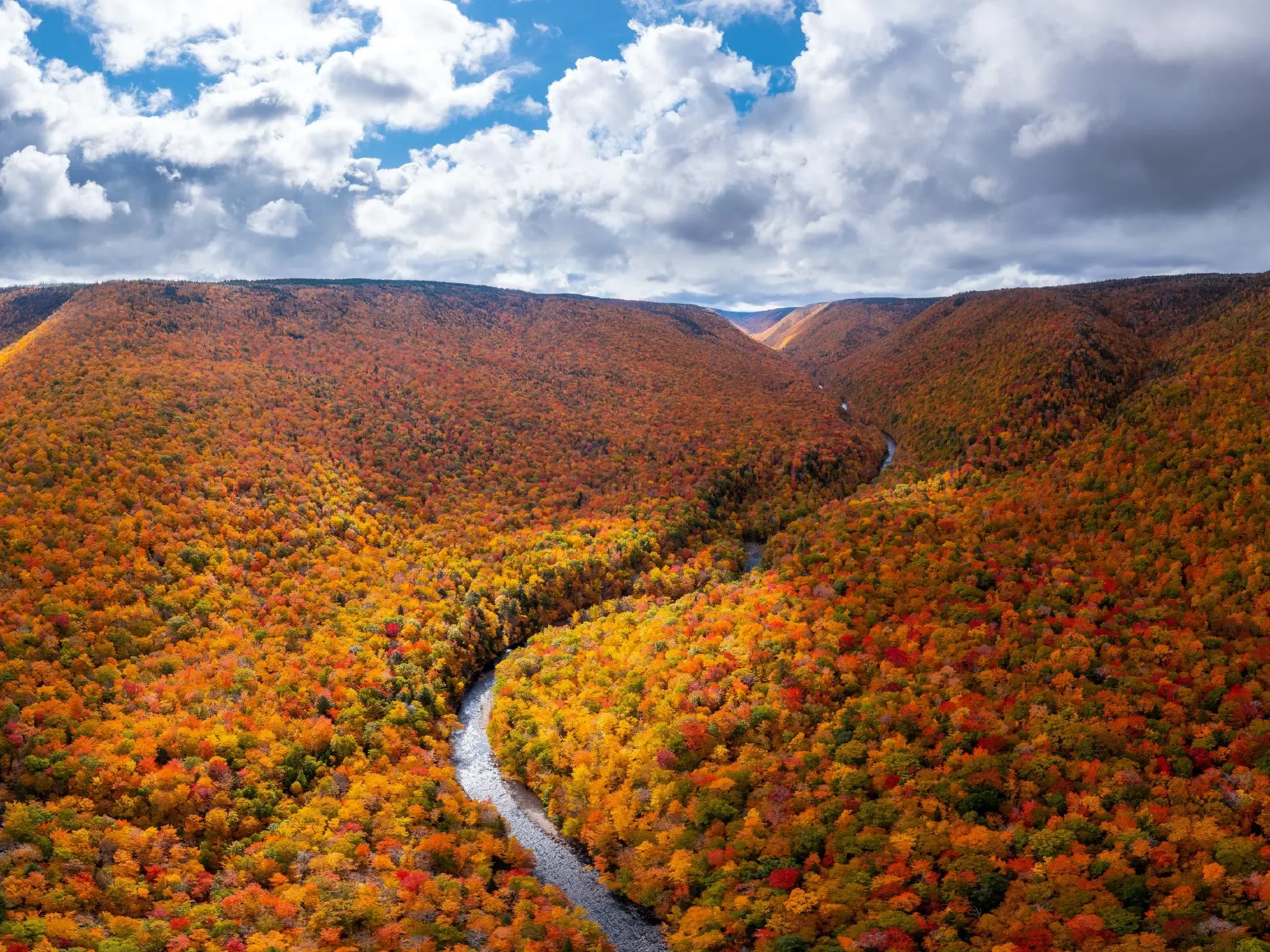 Forage and Feast This Fall in Canada’s Emerging Culinary Hotspot, Vogue