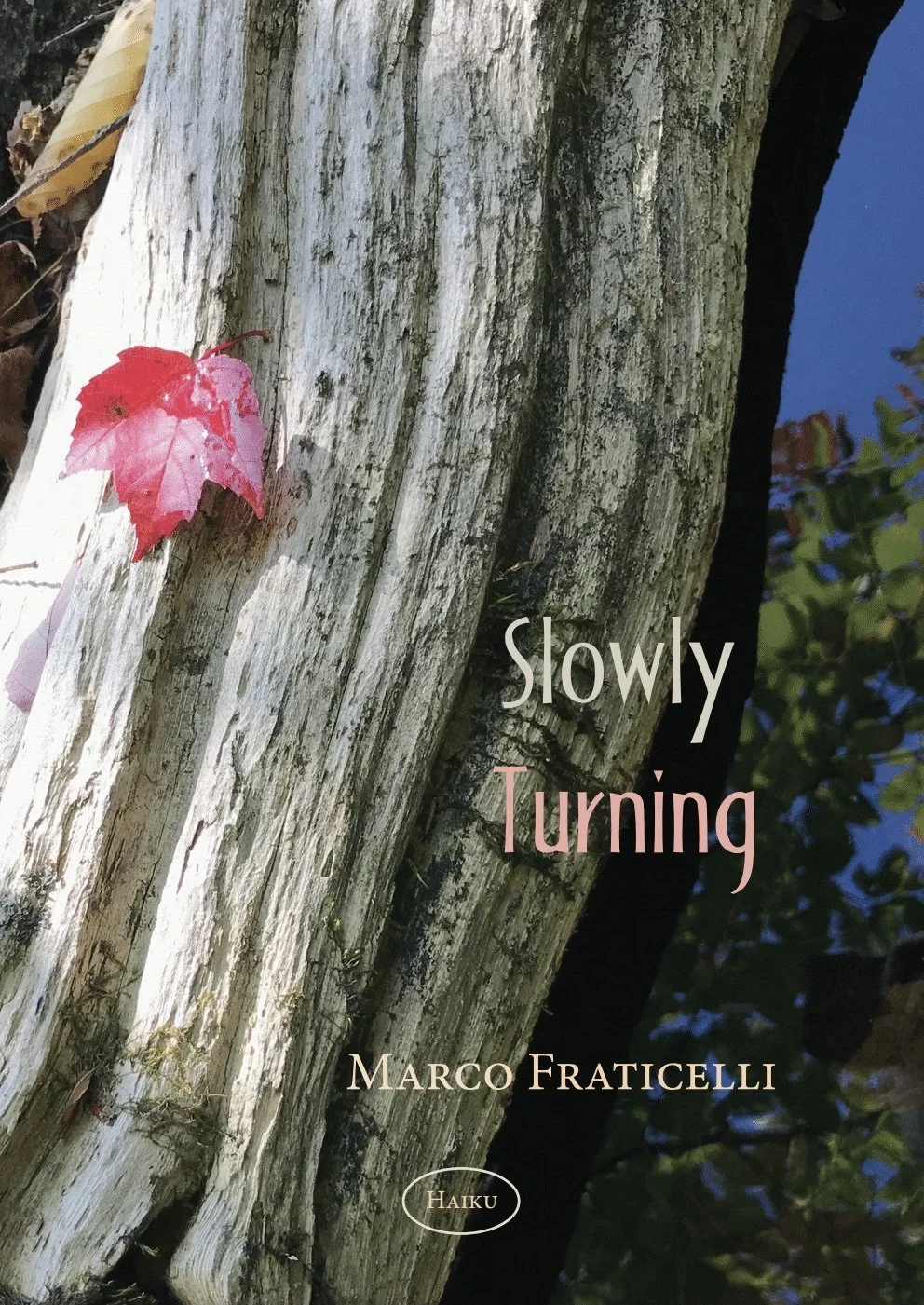 Book_9_Slowly Turning.jpeg