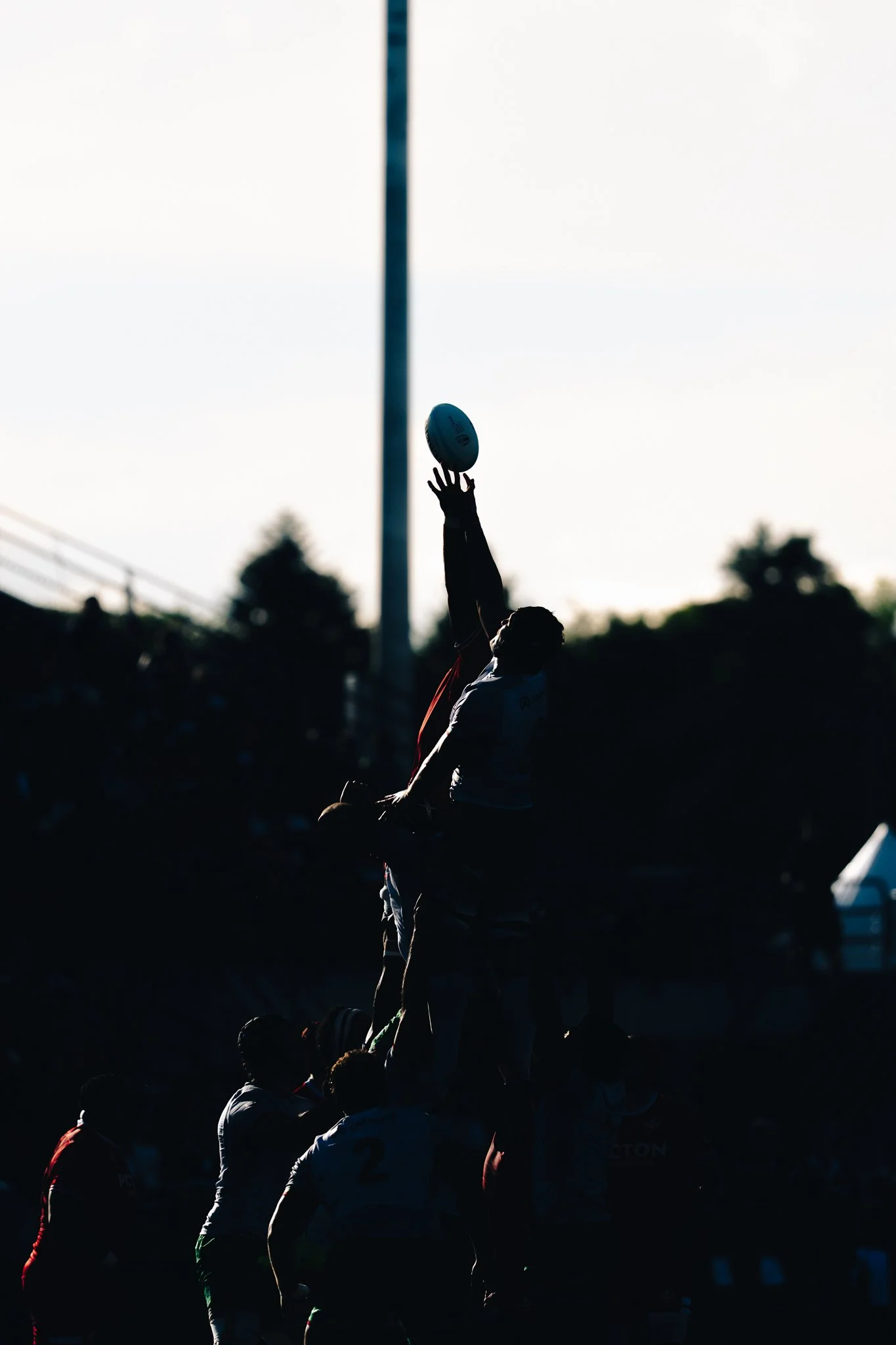 Rugby Canada