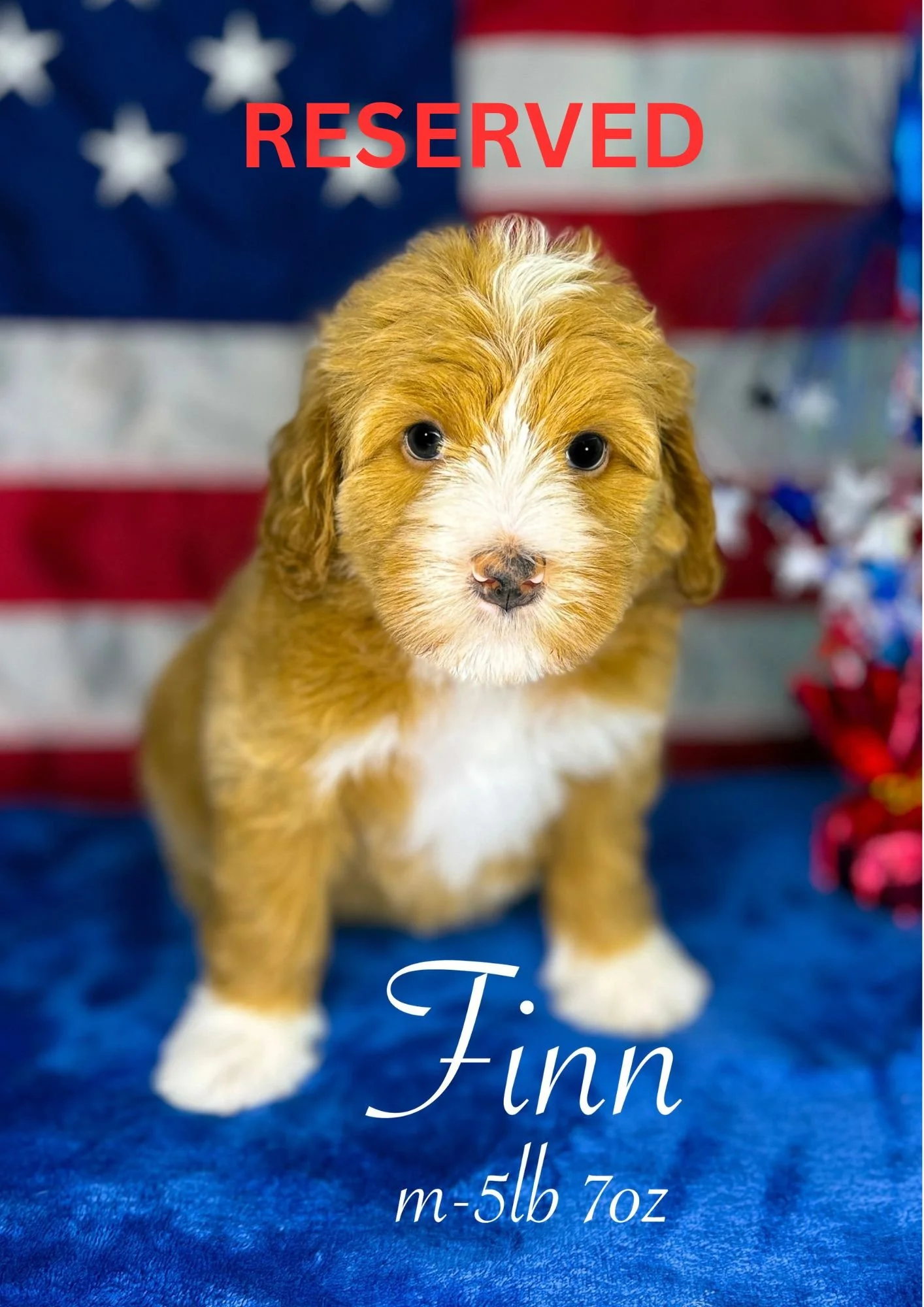 Elegant Minimalist A4 Stationery Paper Document.jpg.jpeg