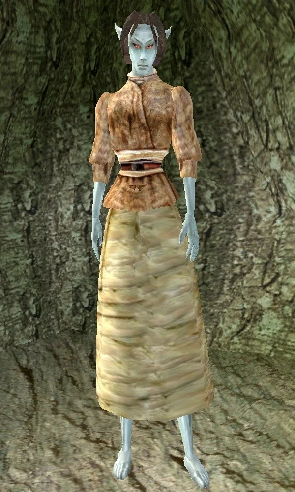 Skywind: Character Dialog (Falura Llervu)