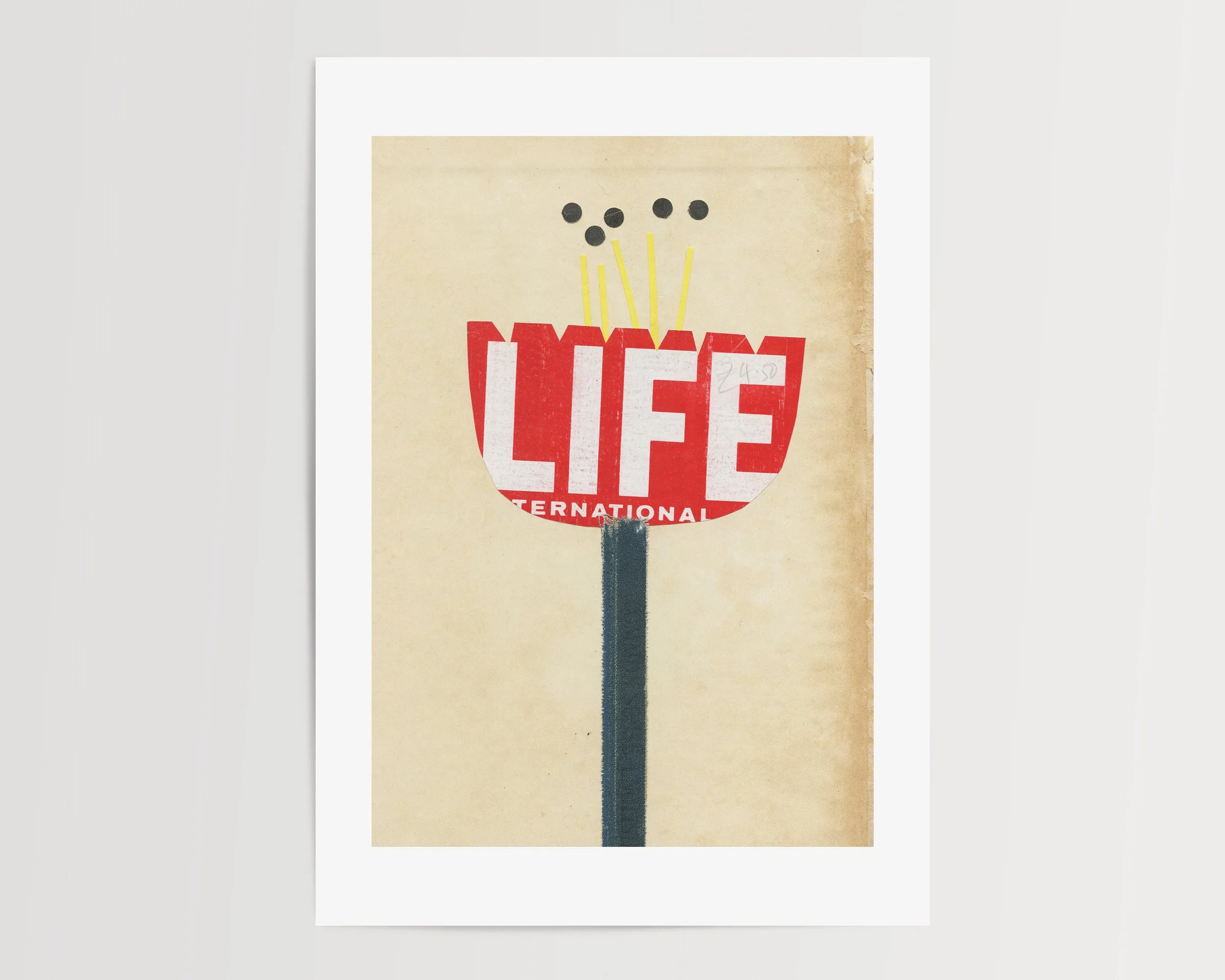 The Life of Flowers c.jpg