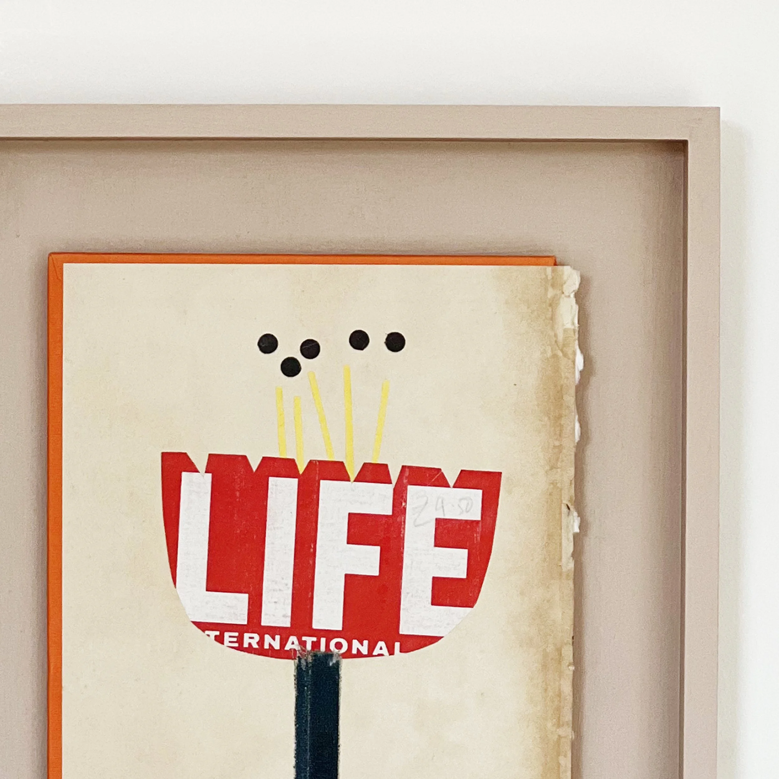 The Life of a Flower d.jpg