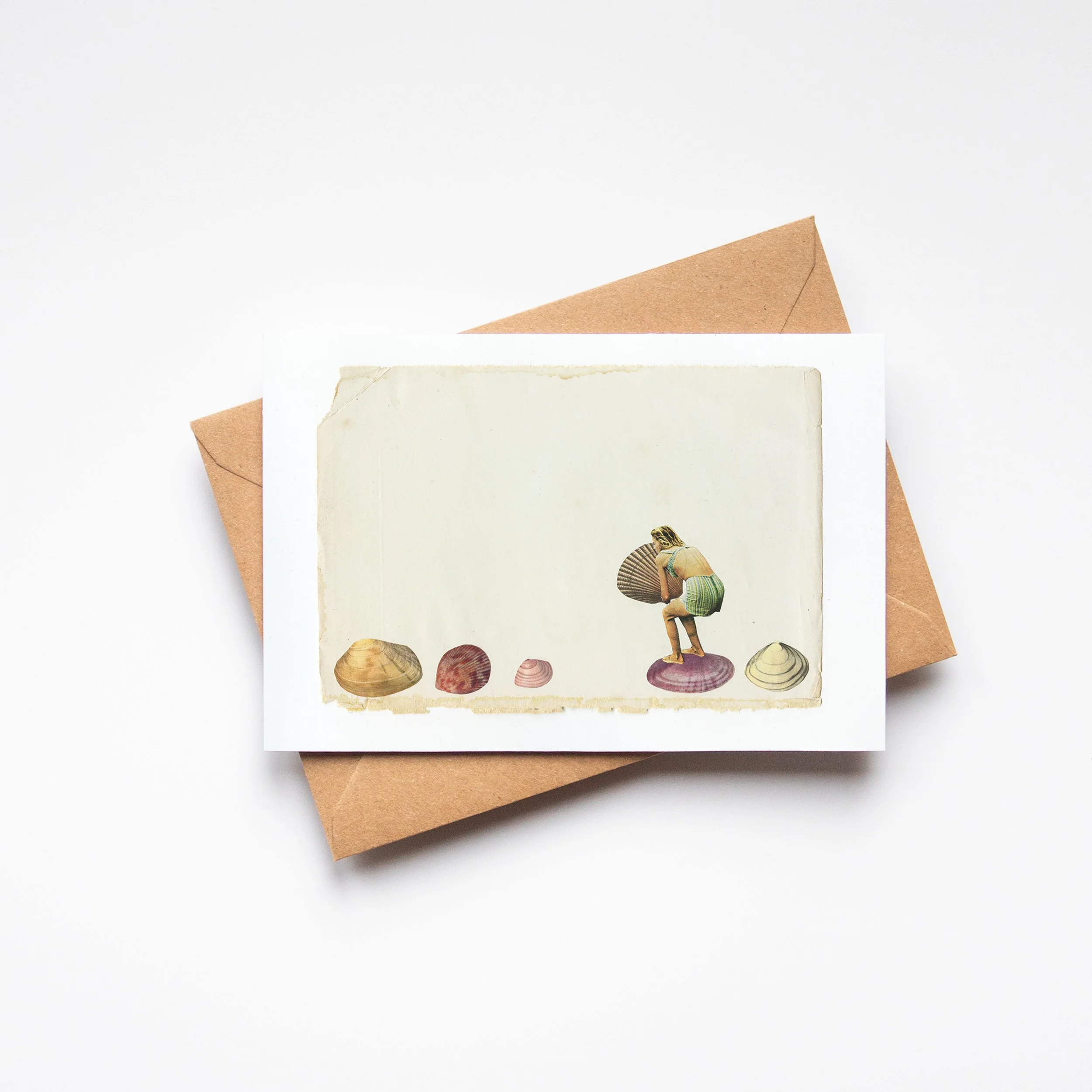 Shell Collector.jpg