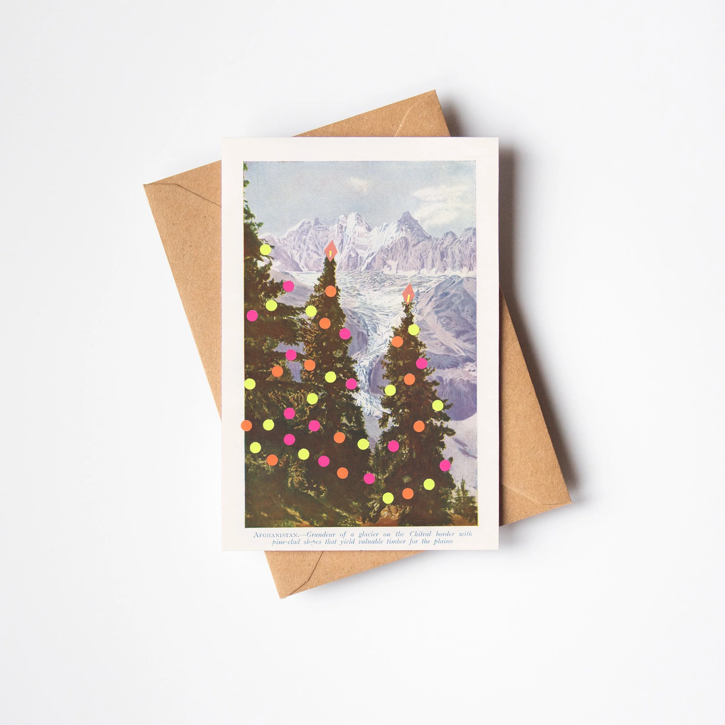 Christmas Card Pack - Pine Trees