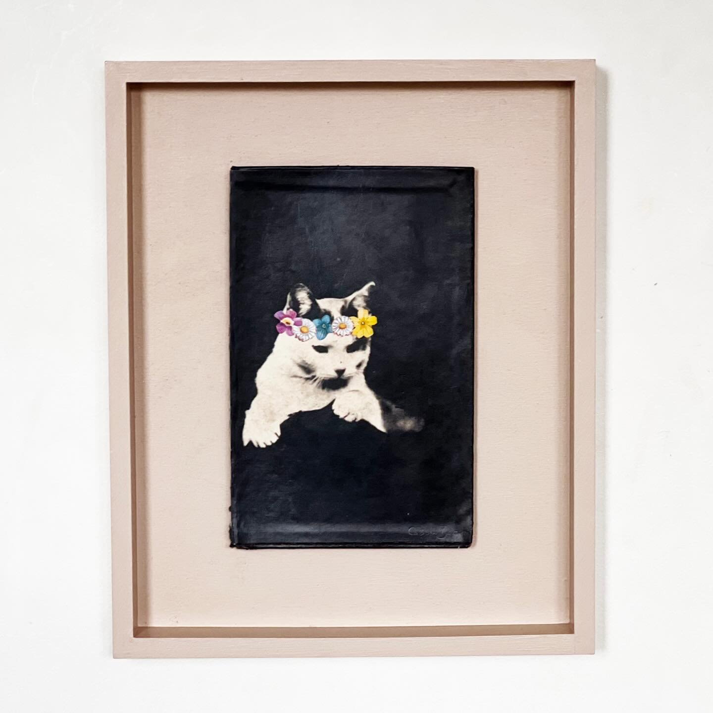 Floral Cat

My sale is still going! 25% off framed originals and 15% off prints.

#catart #floralartwork #collageart #brightonartist #flowersinherhair