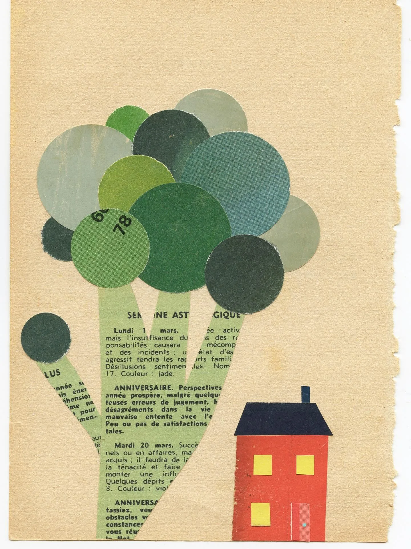 Februllage. Day 4.

Broccoli

#februllage2026 #broccoli #house #collageart

@februllage