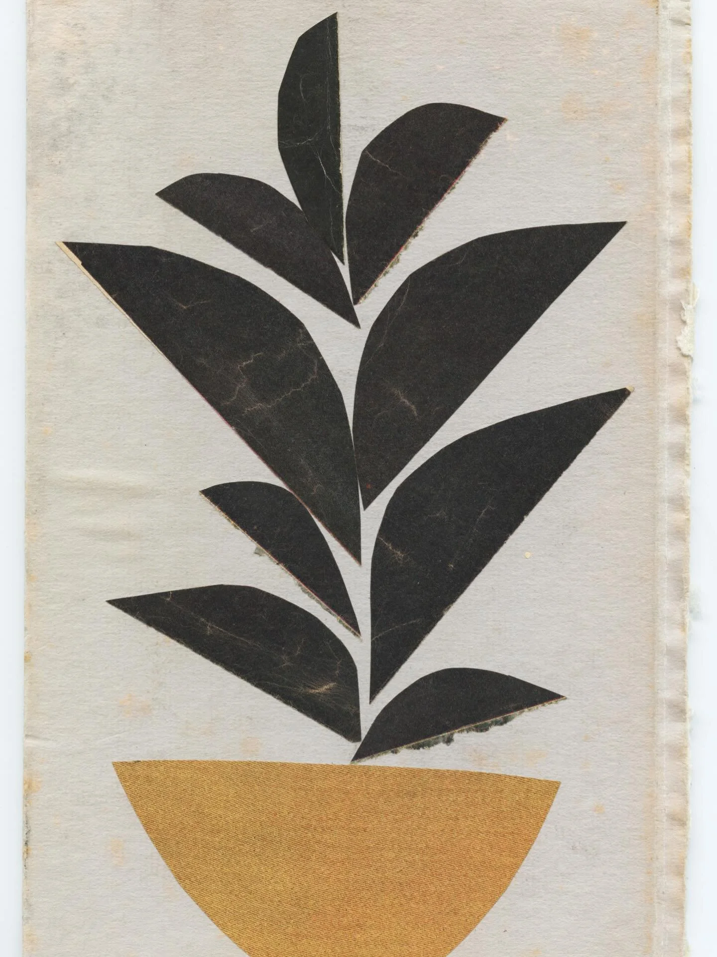 Februllage.
Day 11.

Plant.

@februllage 
#februllage2026 #plant #stilllife #mustardandblack