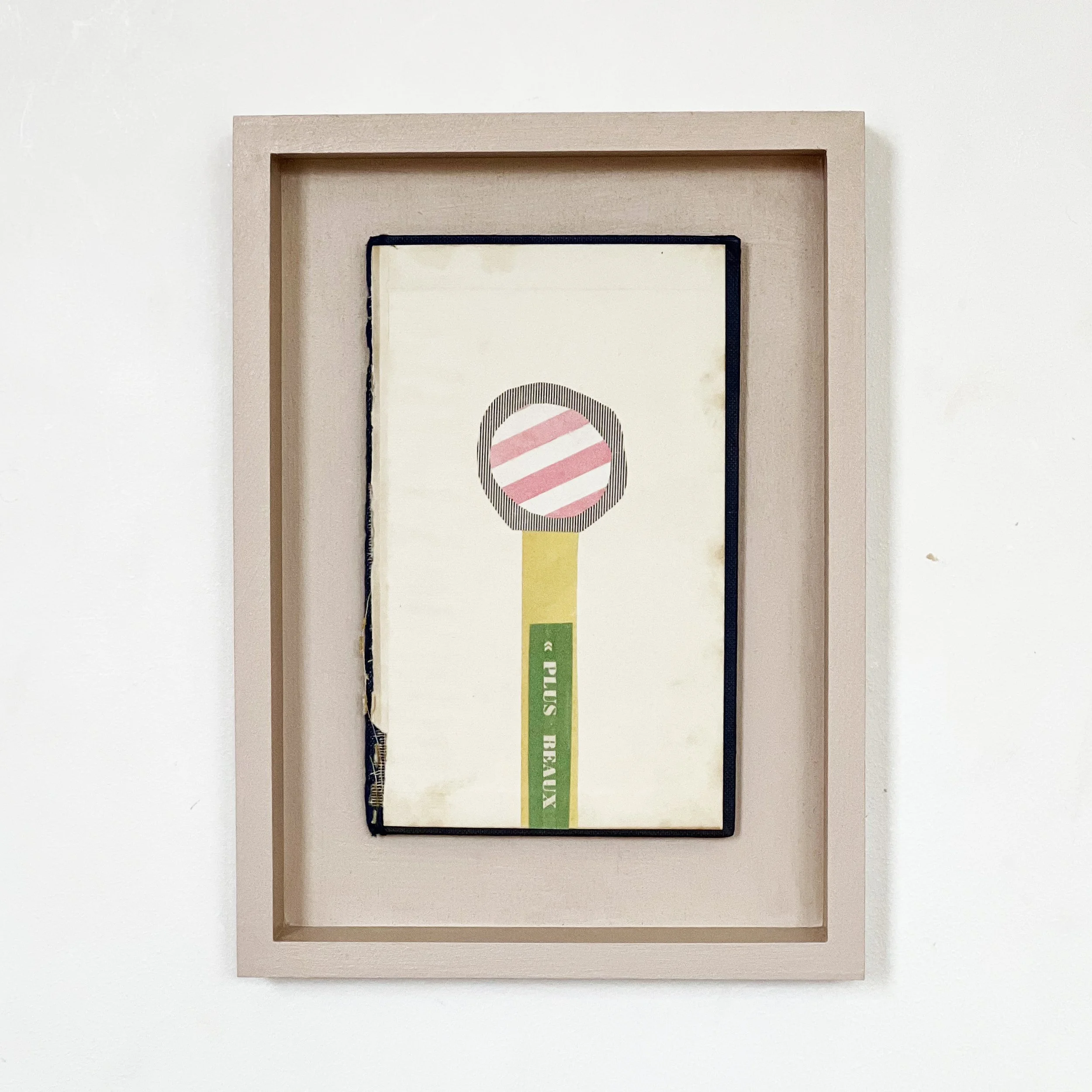 A collage artwork depicting a small simplistic pink striped flower and french type on the stem which reads Plus Beaux. Created on a worn vintage book cover and mounted in a pale pink open frame.