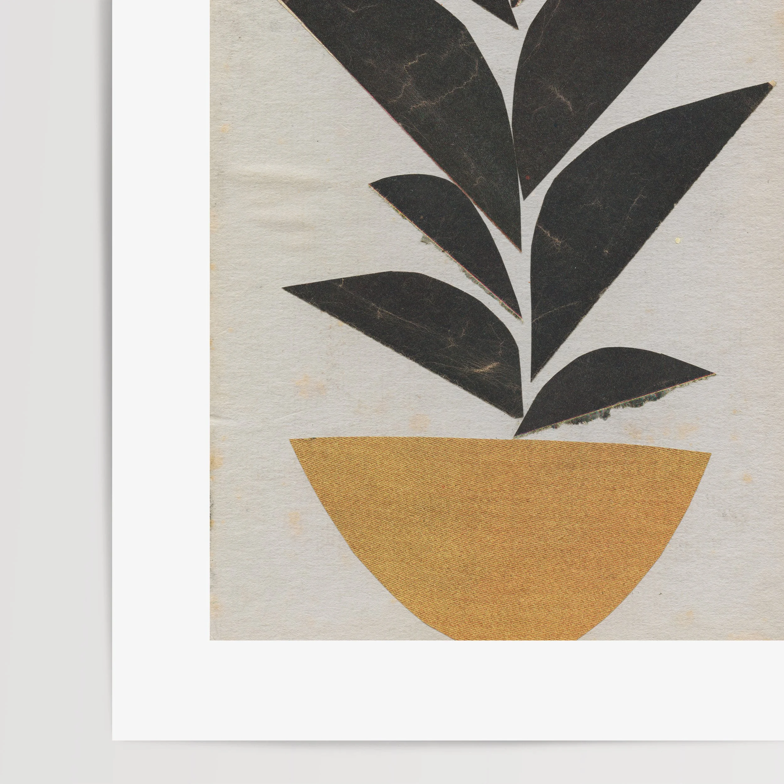 Houseplant II d.jpg