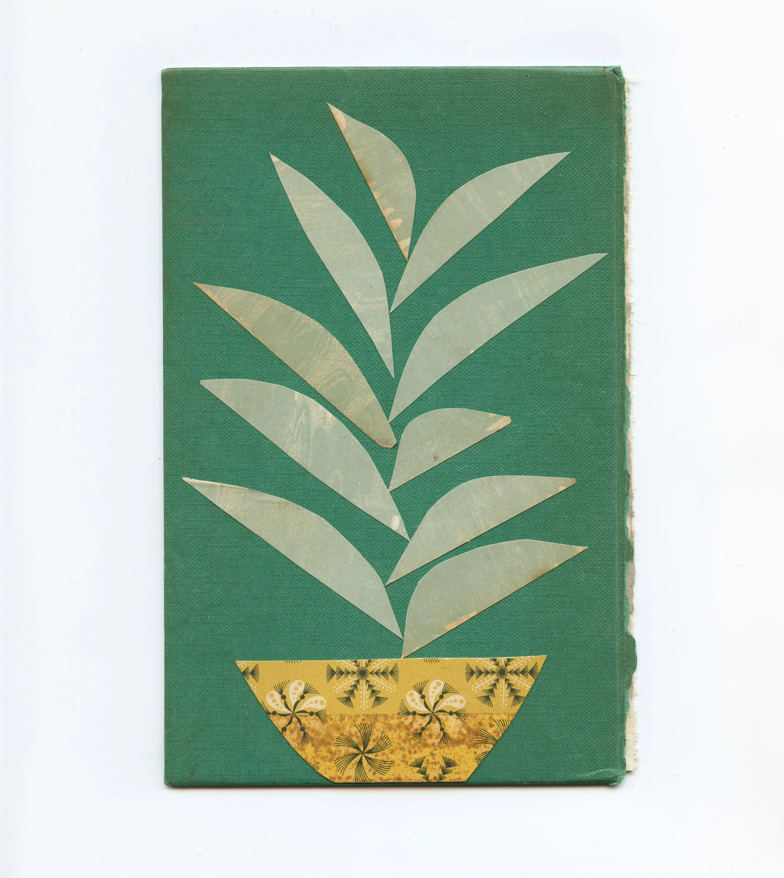Houseplant IV - Unframed - 13x19.5cm